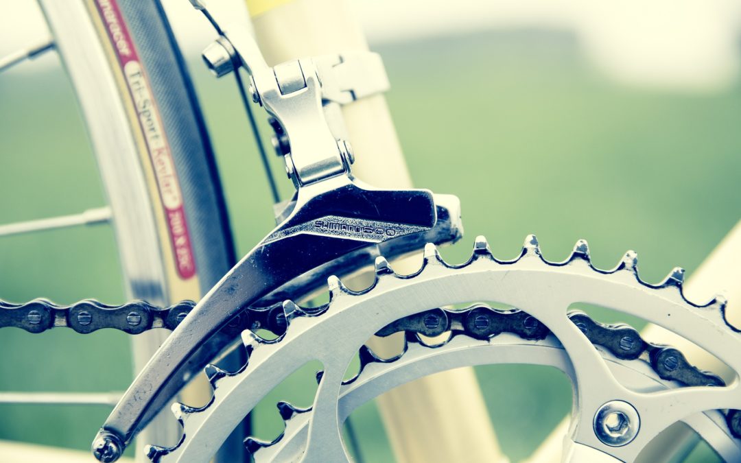Herzlichen Glückwunsch: Diakoniewerk-Radlerin legt 508 Kilometer zurück