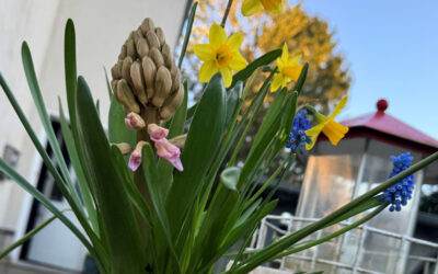 Frühlingsbeginn in der Wohngruppe Leuchtturm